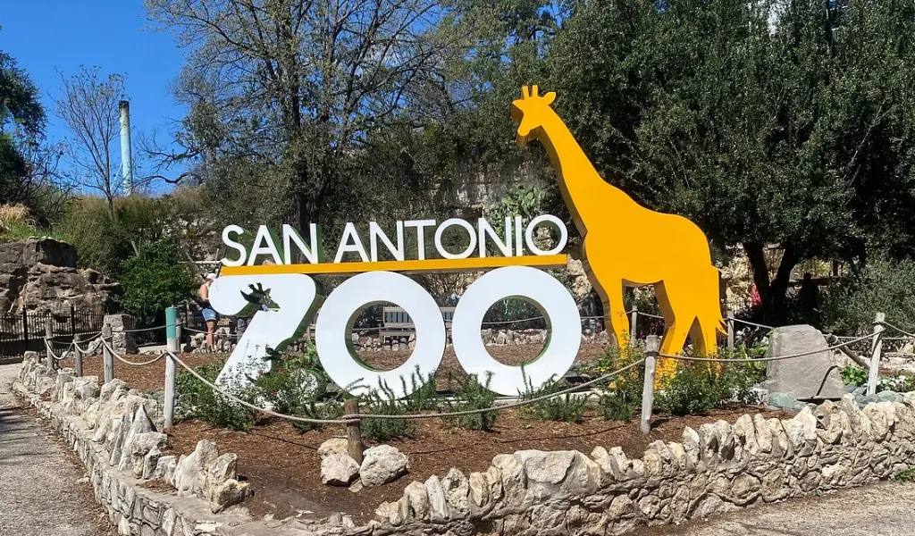 San Antonio Zoo located close to Hotel Near The Alamo San Antonio